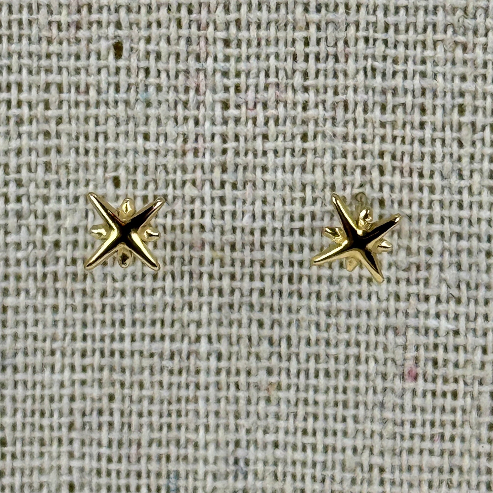 Nordstern-Ohrstecker – vergoldeter oder versilberter Edelstahl | Minimalistisch & hypoallergen.