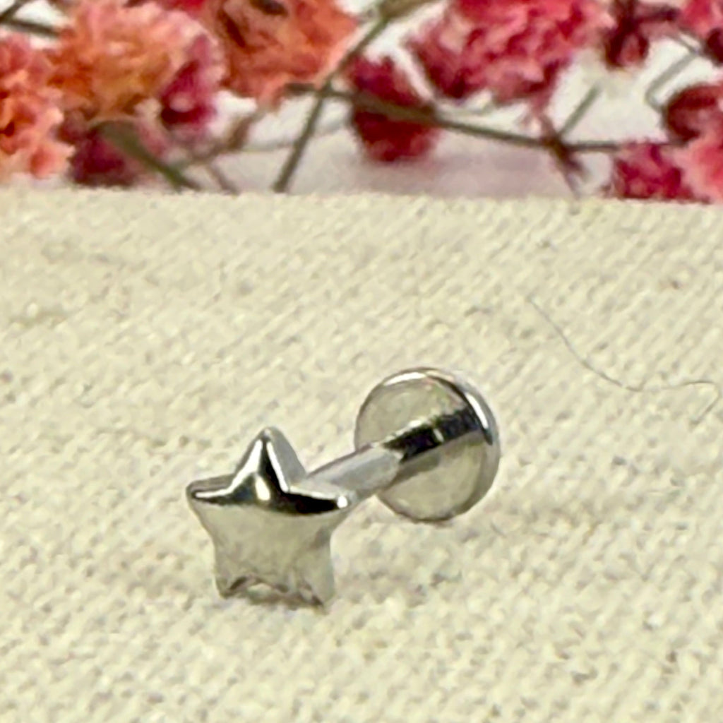 Sterrenpiercing – Hypoallergene roestvrijstalen stud, goud-/zilverkleurig.