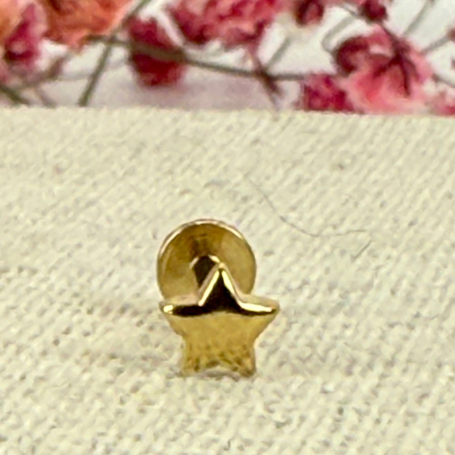Stern-Piercing – hypoallergener Stecker aus gold-/silberfarbenem Edelstahl.