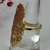 Verstellbarer Ring aus Edelstahl – Großes, gehämmertes organisches Medaillon – Gold- oder silberfarben